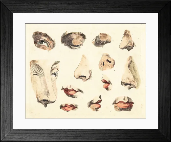 Framed Print : Figures of noses, eyes, mouths and lips Framed Print : Figures of noses, eyes, mouths and lips