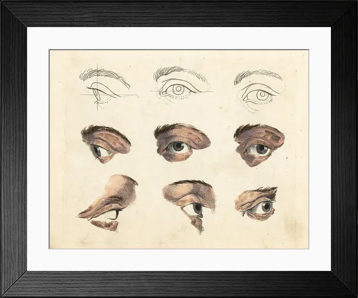 Framed Print : Figures of eyes and brows from a painting by old master Framed Print : Figures of eyes and brows from a painting by old master