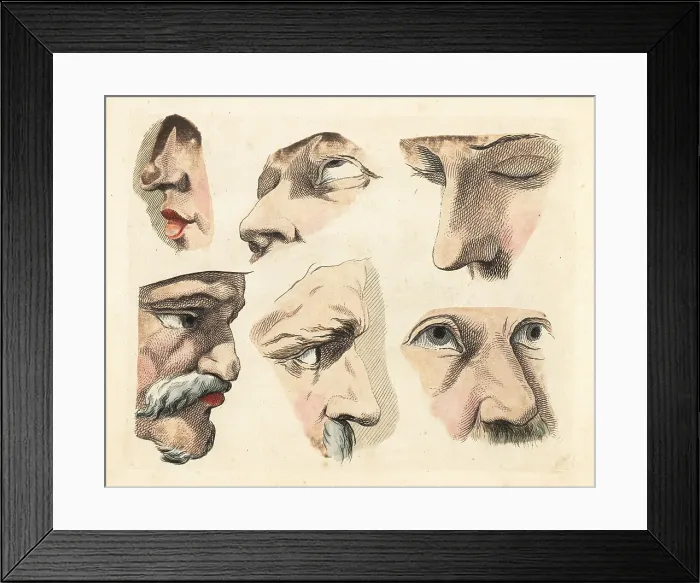 Framed Print : Figures of male eyes, noses, chins, mustaches and brows