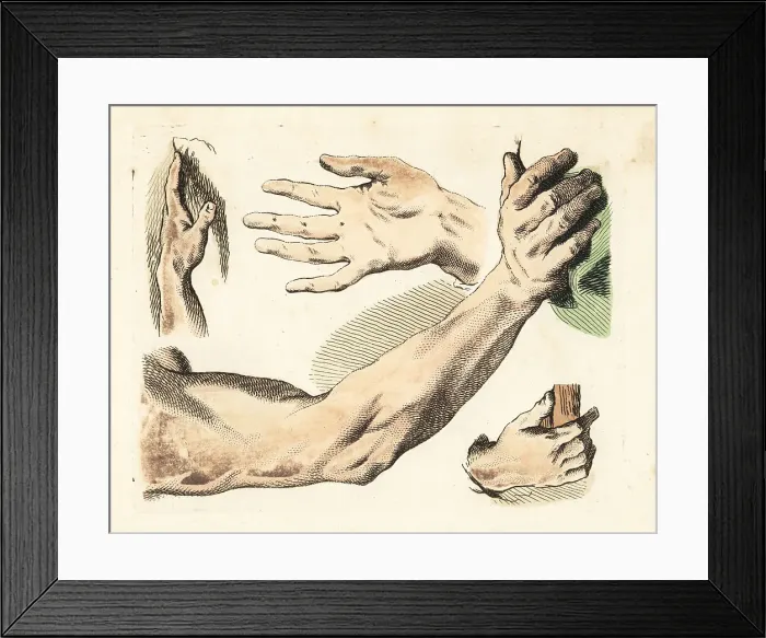 Framed Print : Figures of male fingers, hands, arms, gestures Framed Print : Figures of male fingers, hands, arms, gestures