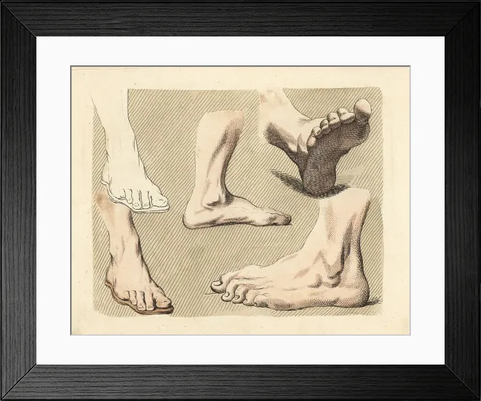 Framed Print : Figures of male feet, toes, ankles, from paintings Framed Print : Figures of male feet, toes, ankles, from paintings