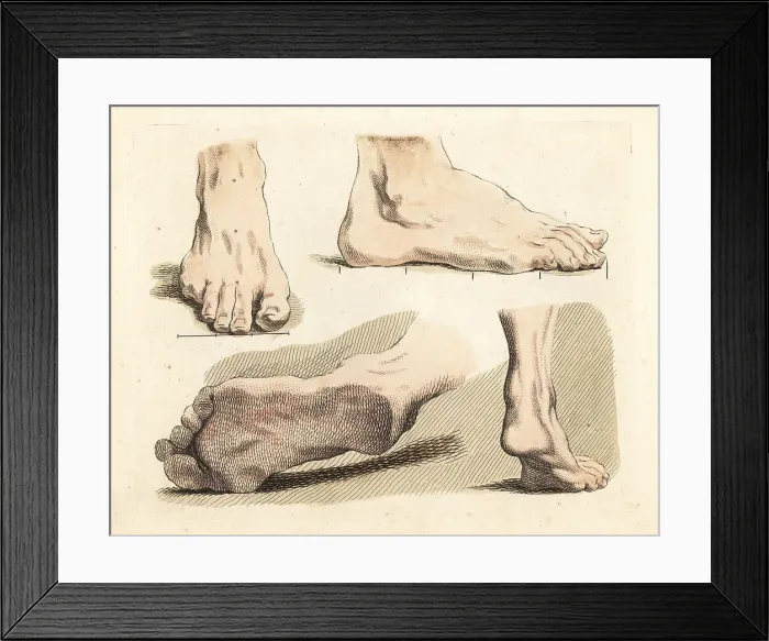 Framed Print : Figures of male feet, ankles, toes and soles Framed Print : Figures of male feet, ankles, toes and soles
