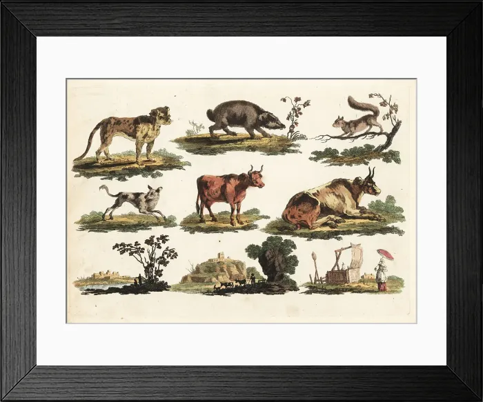Framed Print : Group of rustic animals, 18th century Framed Print : Group of rustic animals, 18th century