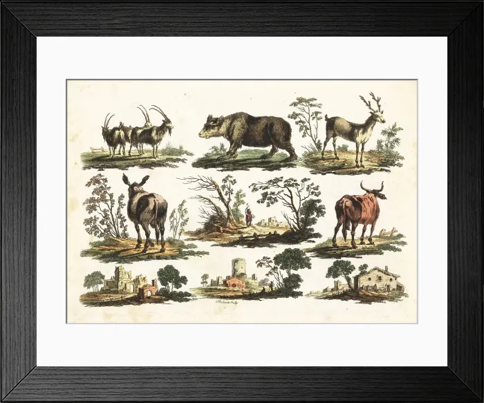 Framed Print : Group of rustic animals, 18th century Framed Print : Group of rustic animals, 18th century