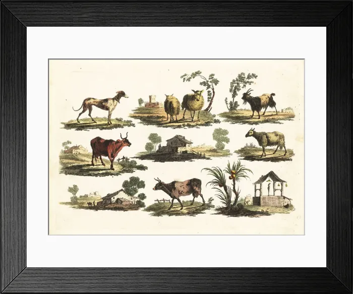 Framed Print : Group of rustic animals, 18th century Framed Print : Group of rustic animals, 18th century