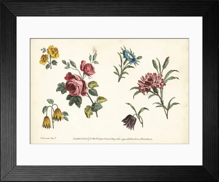 Framed Print : Rose, carnation, fritillary, and other flowers Framed Print : Rose, carnation, fritillary, and other flowers