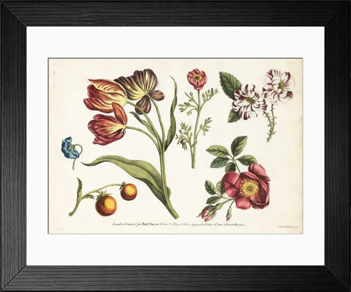 Framed Print : Tulips, dog roses, carnations and fruit Framed Print : Tulips, dog roses, carnations and fruit