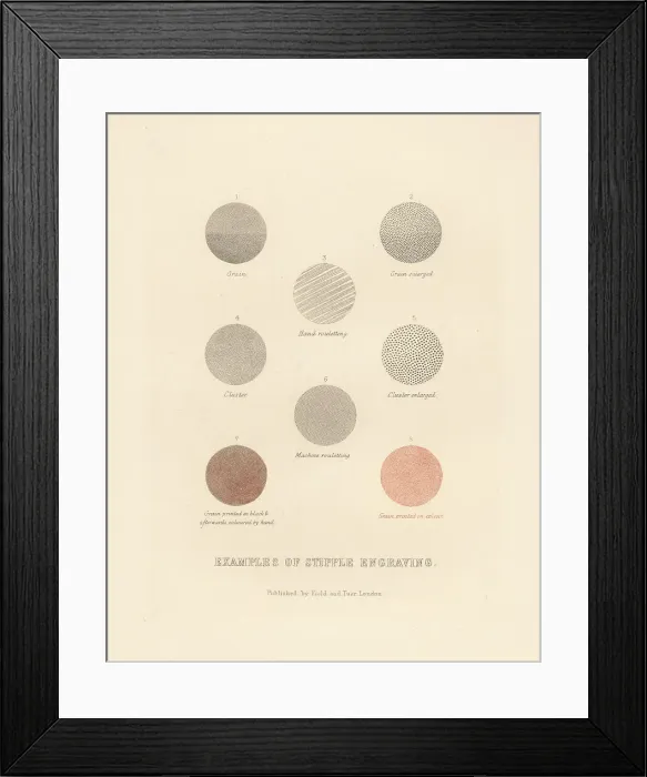 Framed Print : Example of types of stipple engraving Framed Print : Example of types of stipple engraving