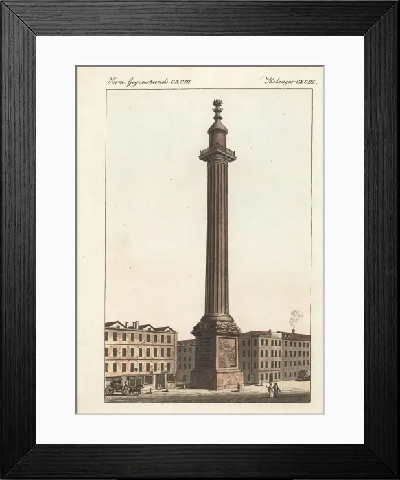 Framed Print : The London Monument, 1800s Framed Print : The London Monument, 1800s