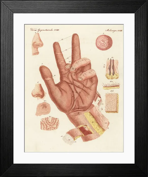 Framed Print : Anatomy of the sense of touch in human skin Framed Print : Anatomy of the sense of touch in human skin