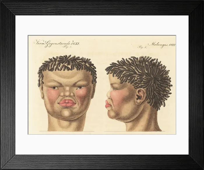 Framed Print : Head of a 20-year-old Khoekhoe man of South Africa, 1814 Framed Print : Head of a 20-year-old Khoekhoe man of South Africa, 1814