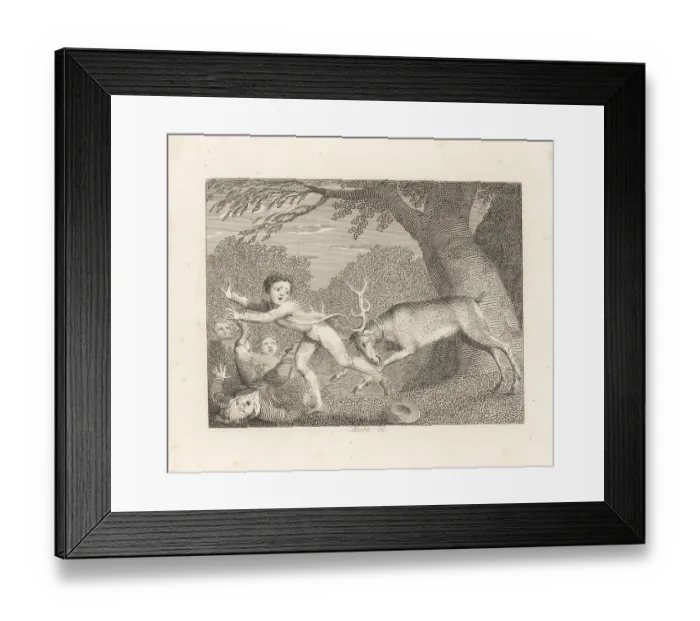 Framed Print : The Tame Stag Framed Print : The Tame Stag