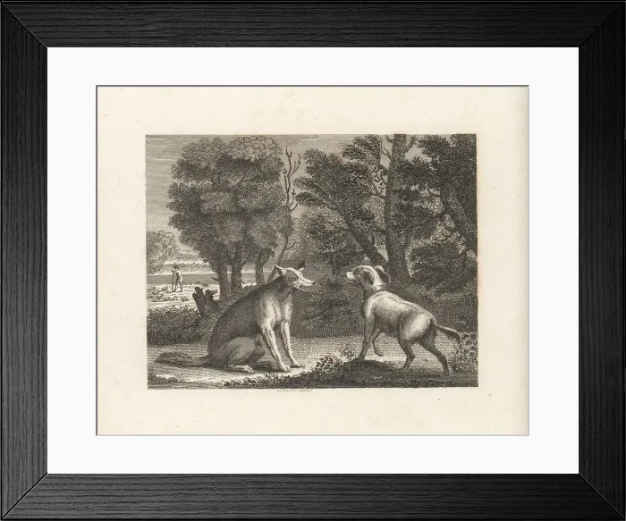 Framed Print : The Shepherd's Dog and the Wolf Framed Print : The Shepherd's Dog and the Wolf