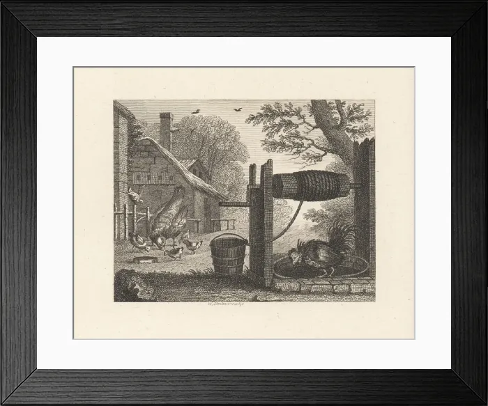 Framed Print : The Old Hen and the Cock Framed Print : The Old Hen and the Cock