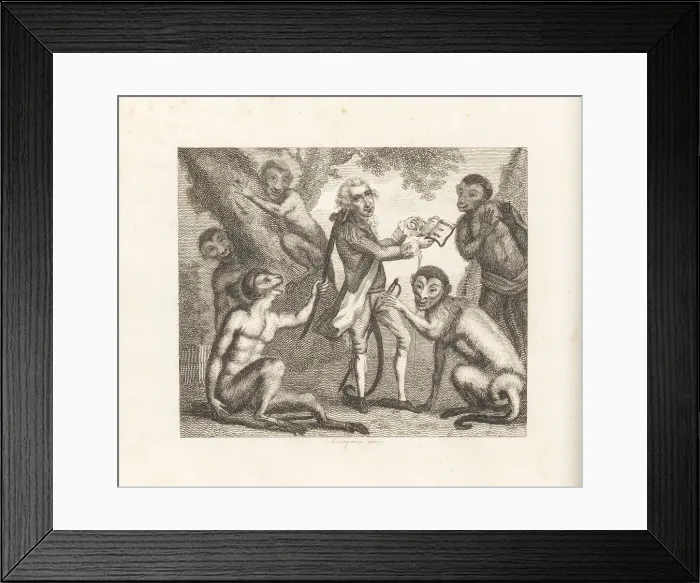 Framed Print : The Monkey who had seen the World Framed Print : The Monkey who had seen the World