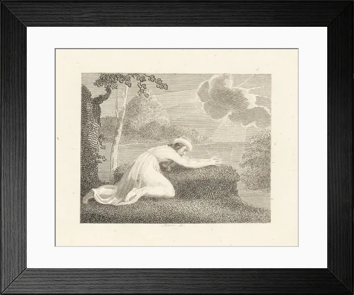 Framed Print : The Persian, the Sun and the Cloud Framed Print : The Persian, the Sun and the Cloud