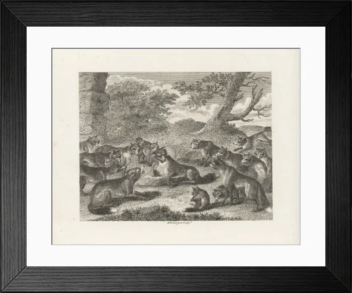 Framed Print : The Fox at the Point of Death Framed Print : The Fox at the Point of Death