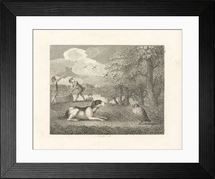 Framed Print : The Setting-Dog and the Partridge Framed Print : The Setting-Dog and the Partridge