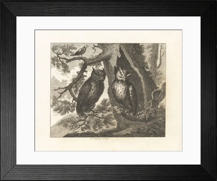 Framed Print : The Two Owls and the Sparrow Framed Print : The Two Owls and the Sparrow