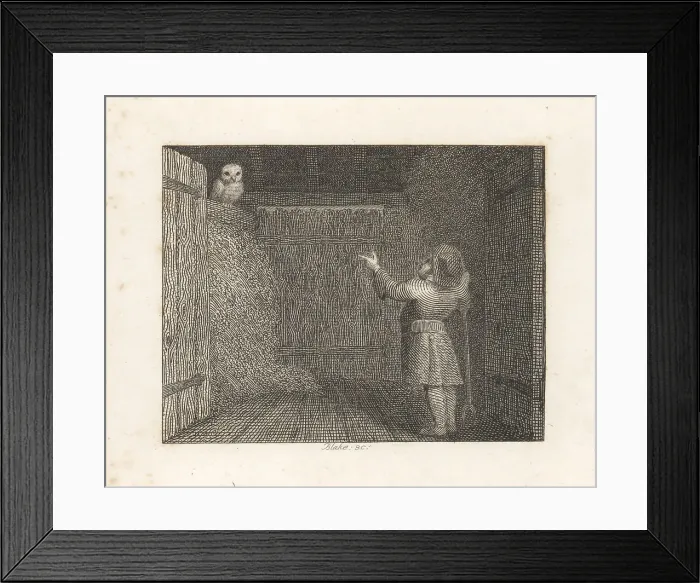 Framed Print : The Owl and the Farmer Framed Print : The Owl and the Farmer