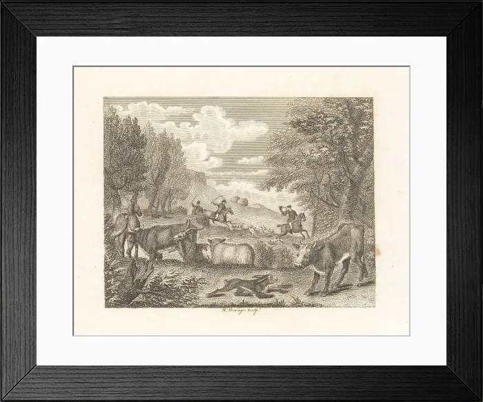 Framed Print : The Hare and Many Friends Framed Print : The Hare and Many Friends