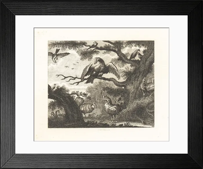 Framed Print : The Vulture, the Sparrow and Other Birds