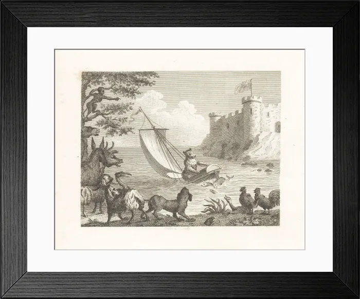 Framed Print : The Bear in a Boat Framed Print : The Bear in a Boat