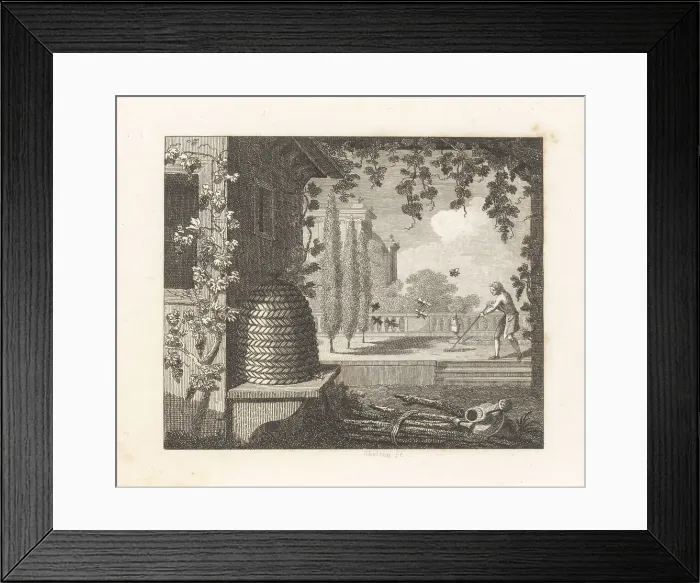 Framed Print : The Degenerate Bees Framed Print : The Degenerate Bees