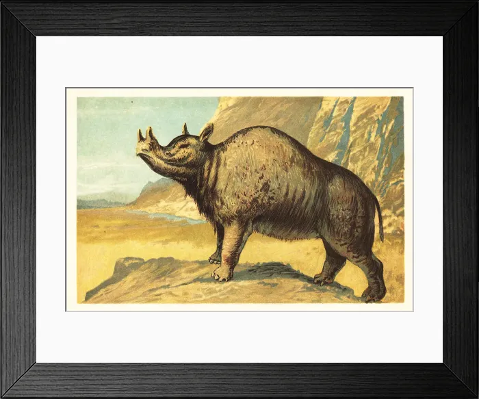Framed Print : Brontops robustus or Megacerops robustus Framed Print : Brontops robustus or Megacerops robustus