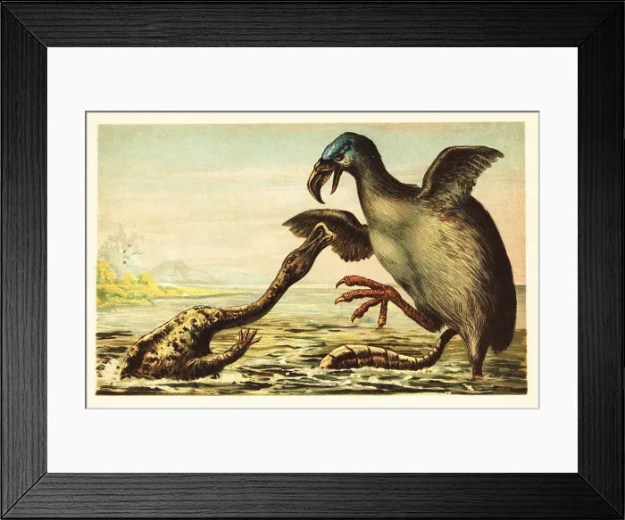Framed Print : Brontornis battling a Hadrosaurus Framed Print : Brontornis battling a Hadrosaurus