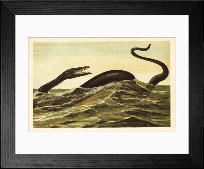Framed Print : Mosasaurus hoffmannii, extinct aquatic reptile Framed Print : Mosasaurus hoffmannii, extinct aquatic reptile