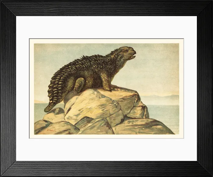 Framed Print : Hylaeosaurus armatus, extinct herbivorous ankylosaurian dinosaur Framed Print : Hylaeosaurus armatus, extinct herbivorous ankylosaurian dinosaur