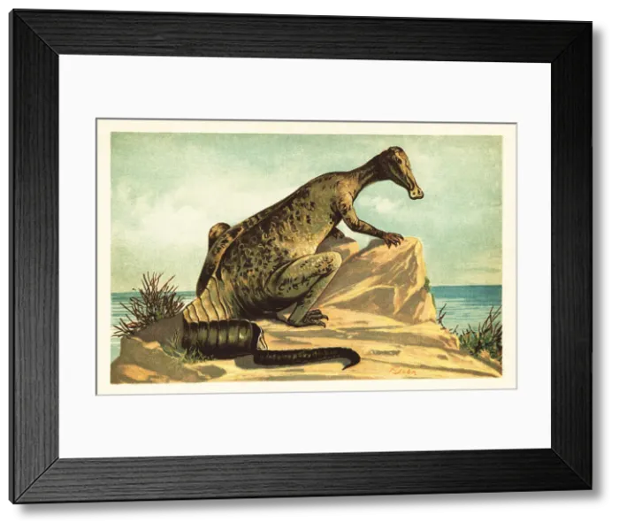 Framed Print : Trachodon mirabilis, extinct hadrosaurad dinosaur Framed Print : Trachodon mirabilis, extinct hadrosaurad dinosaur