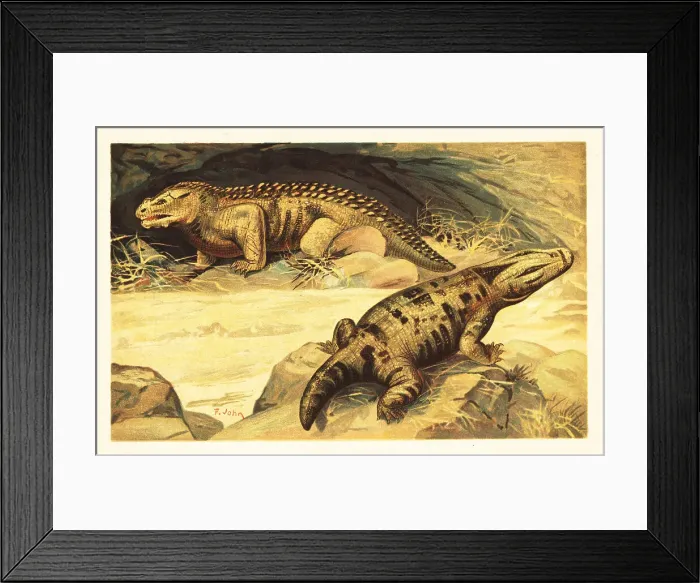 Framed Print : Mastodonsaurus and Pareiasaurus Framed Print : Mastodonsaurus and Pareiasaurus
