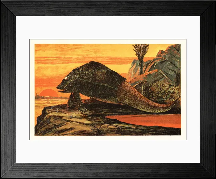 Framed Print : Asterolepis cornutus, extinct species of armour-plated fish Framed Print : Asterolepis cornutus, extinct species of armour-plated fish