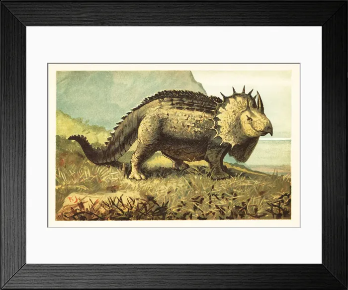 Framed Print : Triceratops prorsus, extinct herbivorous dinosaur Framed Print : Triceratops prorsus, extinct herbivorous dinosaur