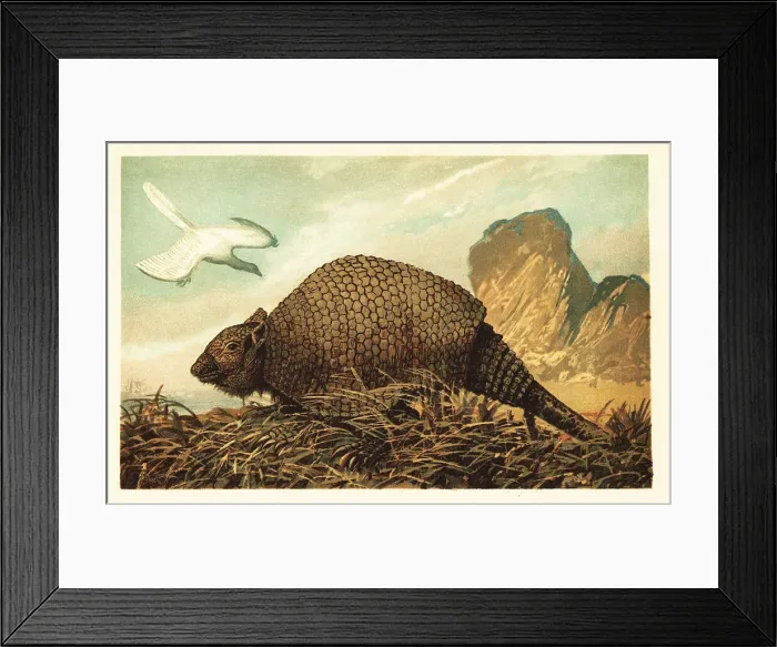Framed Print : Archaeopteryx lithographica and Panochthus tuberculatus Framed Print : Archaeopteryx lithographica and Panochthus tuberculatus
