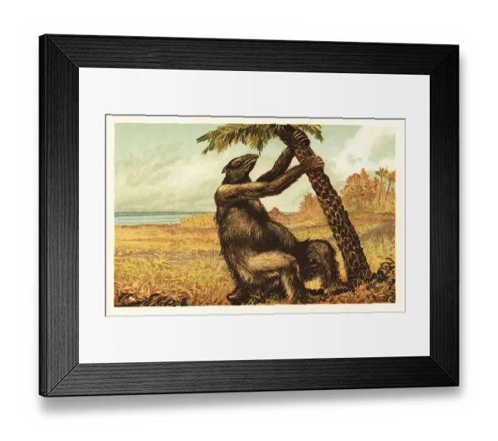 Framed Print : Megatherium americanum pulling on a palm tree Framed Print : Megatherium americanum pulling on a palm tree