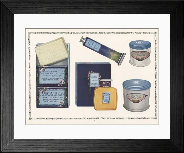 Framed Print : Trailing Arbutus brand cosmetics from CPC, 1927 Framed Print : Trailing Arbutus brand cosmetics from CPC, 1927