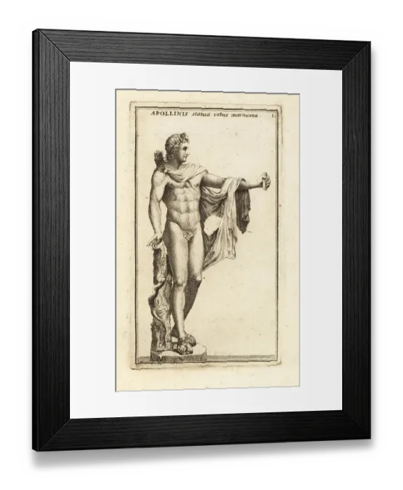 Framed Print : Marble statue of Apollo Belvedere Framed Print : Marble statue of Apollo Belvedere