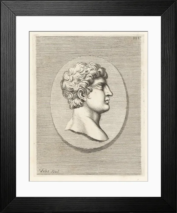 Framed Print : Head of a young man with short curly hair Framed Print : Head of a young man with short curly hair