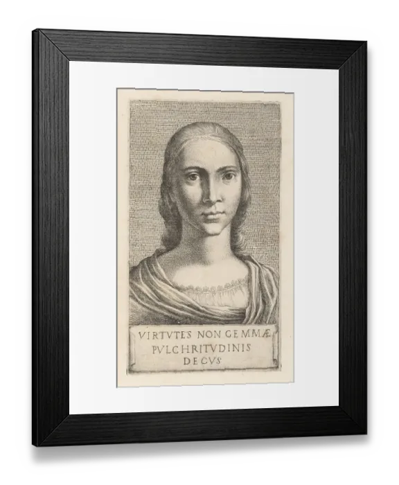 Framed Print : Portrait of a young woman with long hair, with cloak over a chem Framed Print : Portrait of a young woman with long hair, with cloak over a chem