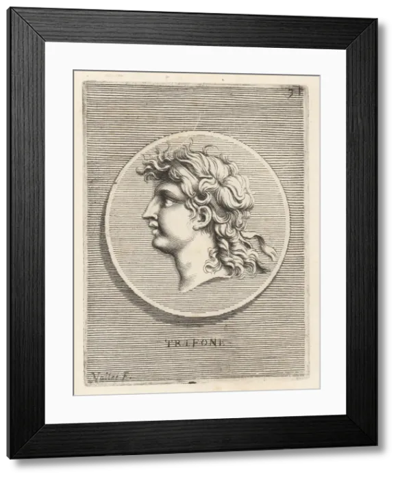 Framed Print : Diodotus Tryphon, Greek king of the Seleucid Empire Framed Print : Diodotus Tryphon, Greek king of the Seleucid Empire