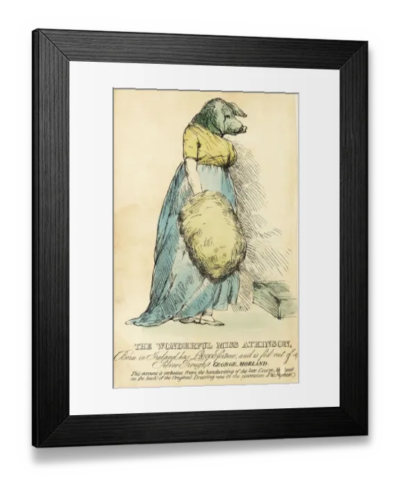 Framed Print : The Pig-Faced Lady, famous in London circa 1815 Framed Print : The Pig-Faced Lady, famous in London circa 1815