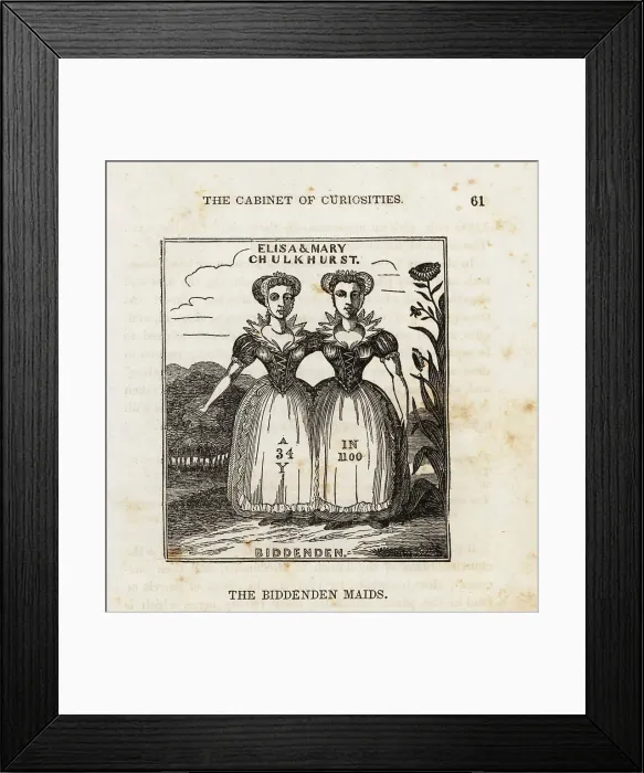 Framed Print : The Biddenden Maids, 11th century conjoined twins Framed Print : The Biddenden Maids, 11th century conjoined twins