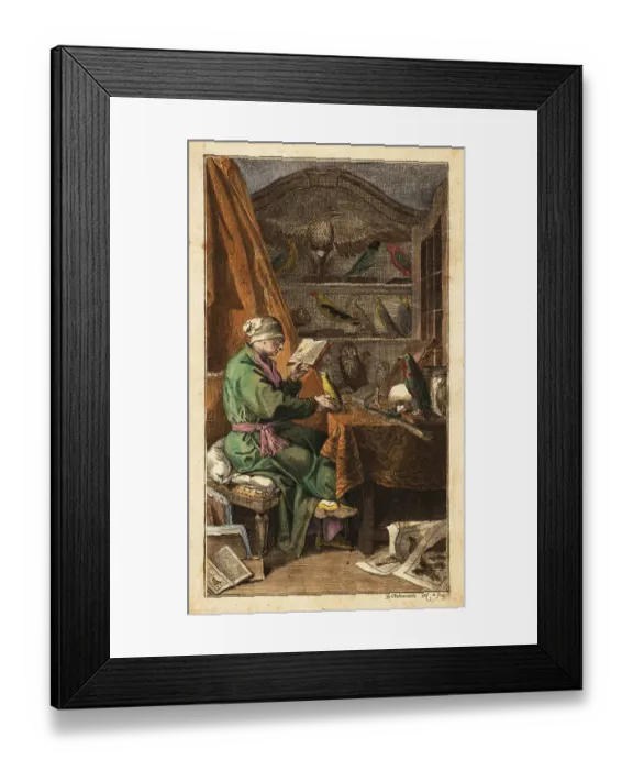 Framed Print : German ornithologist in his study, 18th century Framed Print : German ornithologist in his study, 18th century
