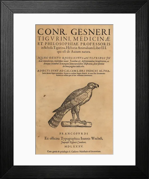 Framed Print : Title page with vignette of hawk from Conrad Gessner's Historiae Framed Print : Title page with vignette of hawk from Conrad Gessner's Historiae