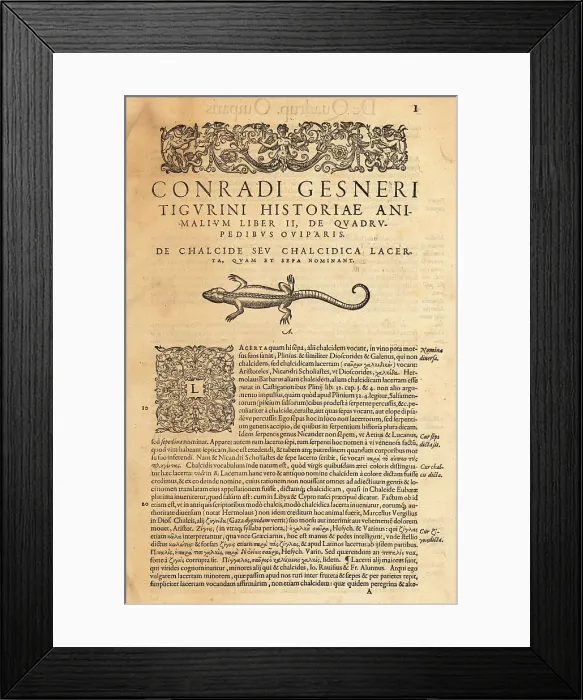 Framed Print : Title page of the volume on oviparous quadrupeds Framed Print : Title page of the volume on oviparous quadrupeds