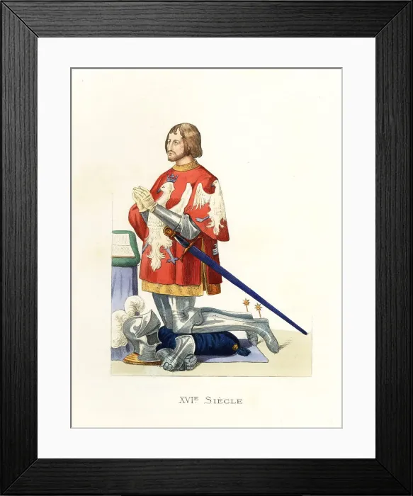 Framed Print : Gaspard I, Count of Coligny, Marshal of Chatillon, 1465-1522 Framed Print : Gaspard I, Count of Coligny, Marshal of Chatillon, 1465-1522