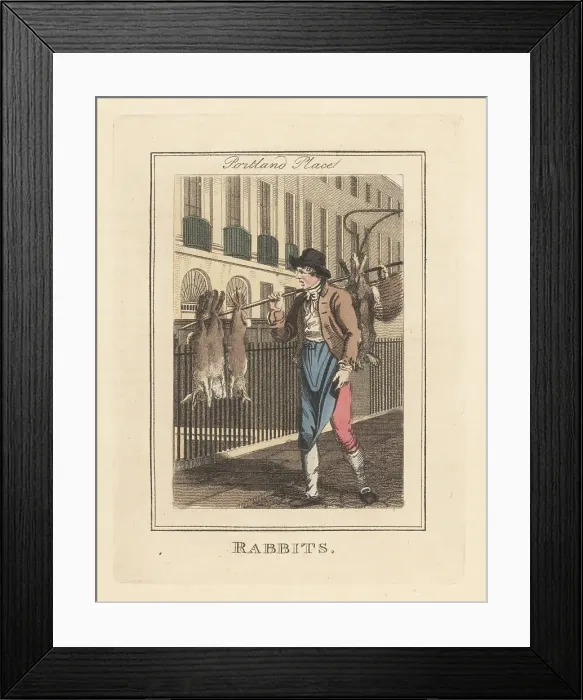 Framed Print : Rabbit seller in Portland Place, London, 1805 Framed Print : Rabbit seller in Portland Place, London, 1805